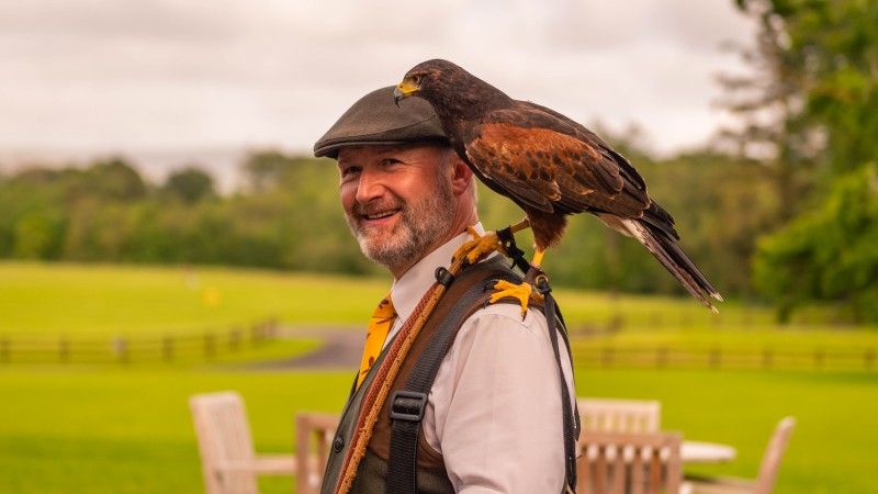 Falconry