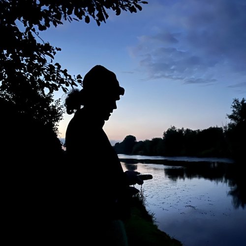 Bats on the River Moy
