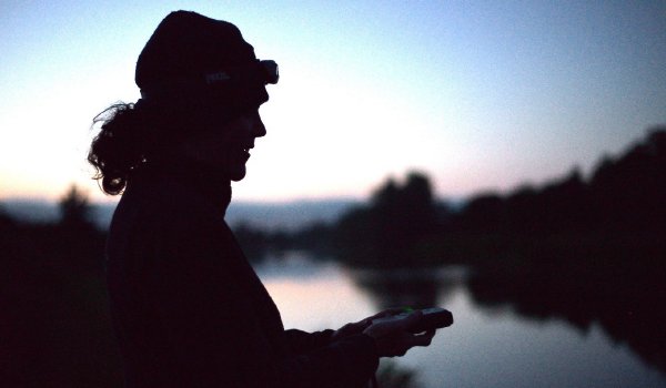 Bats of Mount Falcon