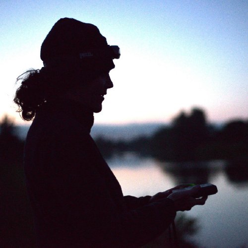 Bats of Mount Falcon