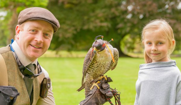 Falconry at Mount Falcon