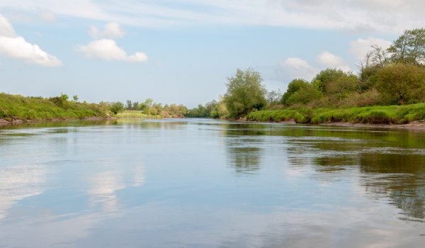 Signs Of Spring at River Moy