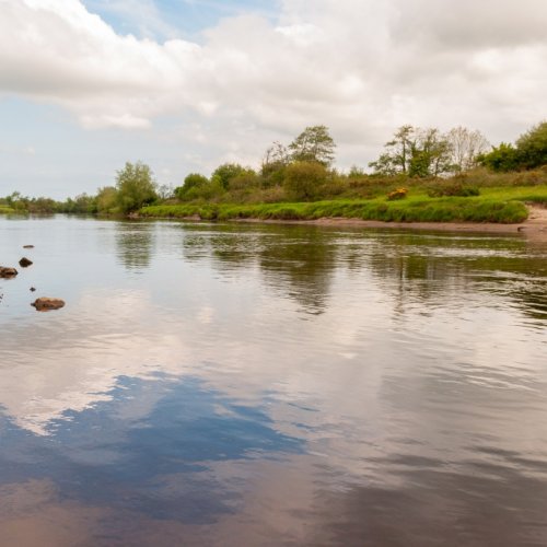 Signs Of Spring at River Moy