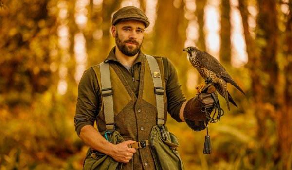 Love may be in the air for wild peregrine falcon recovering from injury in Co Mayo