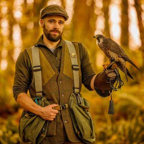 Love may be in the air for wild peregrine falcon recovering from injury in Co Mayo